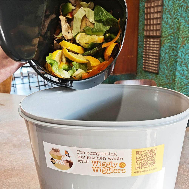 Ask the Wiggly Experts: I want to start composting food waste cheaply and easily, without constantly buying equipment. What’s the best option?