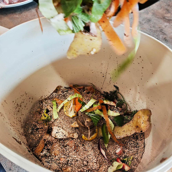 Bokashi Bin Composting Explained: Why Fermentation Makes Better Compost and Healthier Soil