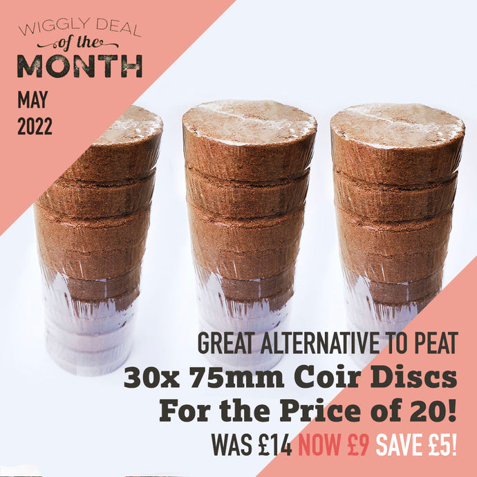 Wiggly Deal of the Month May 2022- Coir Discs – 75mm diameter - 3 Packs for £9!