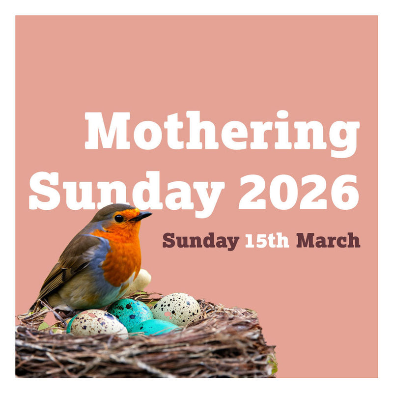 Mother’s Day Gifts for Nature-Loving Mums! 🌿🐦