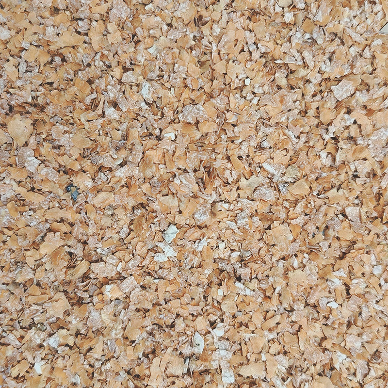 Where Has Mealworm Food Gone?