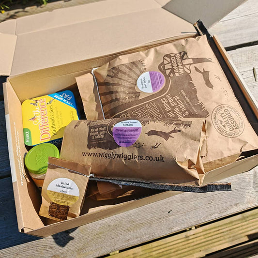 Our Deal of the Month JANUARY 2026 - Buggy Bonanza - Usually £34.49 NOW £28!