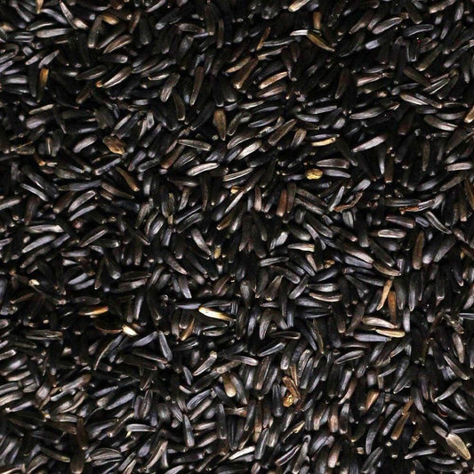 Why Autumn Is one of the Best Time to Feed Niger Seed to Garden Birds