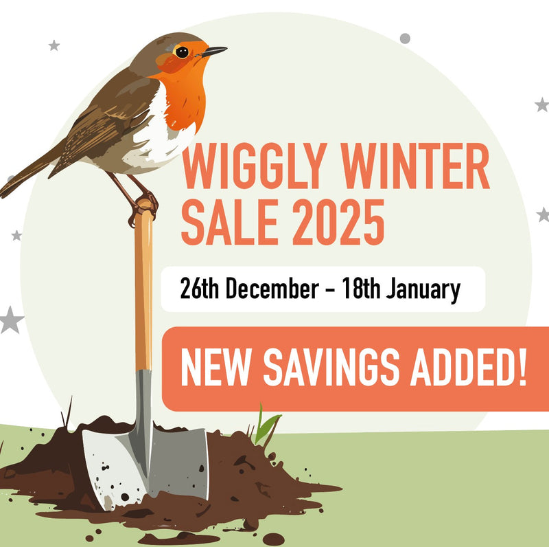 Two Newly Added Wiggly Winter Sale Offers