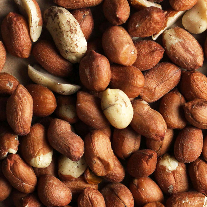 Feeding Peanuts to garden birds