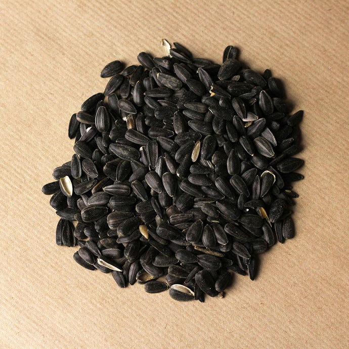 Feeding your garden birds sunflower seeds? What you need to know.