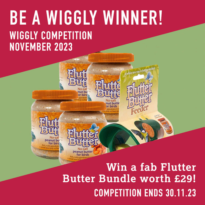 WIN WITH WIGGLY NOVEMBER 2023 – A FAB FLUTTER BUTTER BUNDLE - WORTH £25!