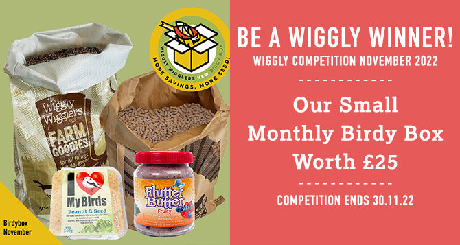 WIN WITH WIGGLY NOVEMBER 2022 – OUR MONTHLY BIRDY BOX SMALL - WORTH £25!