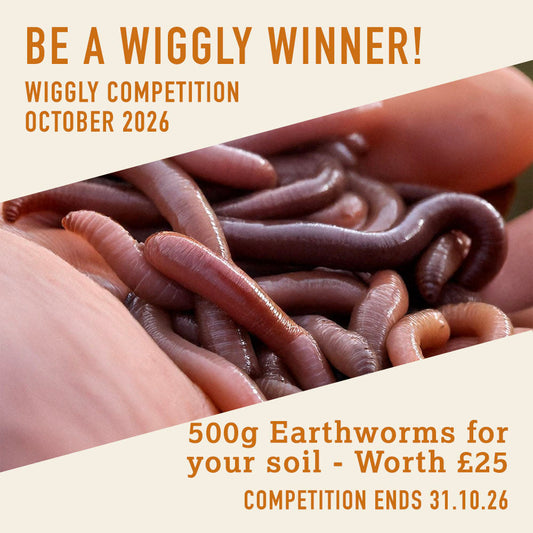 WIN WITH WIGGLY - October 26 - 500g Earthworms for your soil - Worth £25