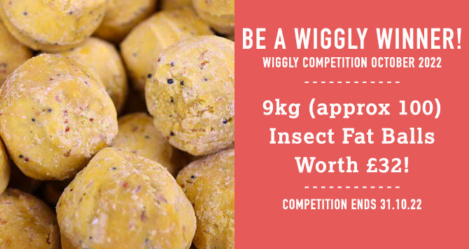 WIN WITH WIGGLY OCTOBER 2022 – 9KG OF INSECT FAT BALLS - APPROX 100 BALLS - WORTH £32!
