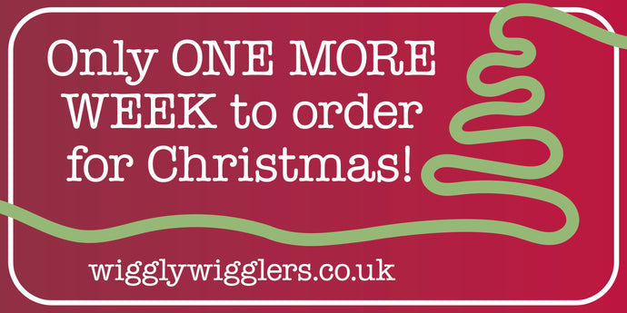 Just One Week Left to Order for Christmas Delivery!