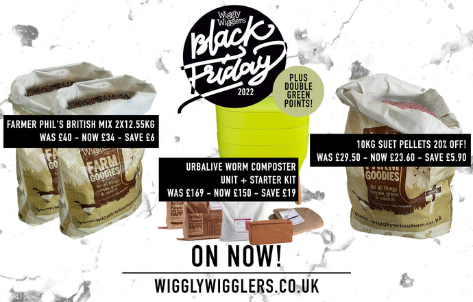 Our BLACK FRIDAY DEALS are on Now! PLUS get DOUBLE GREEN POINTS!