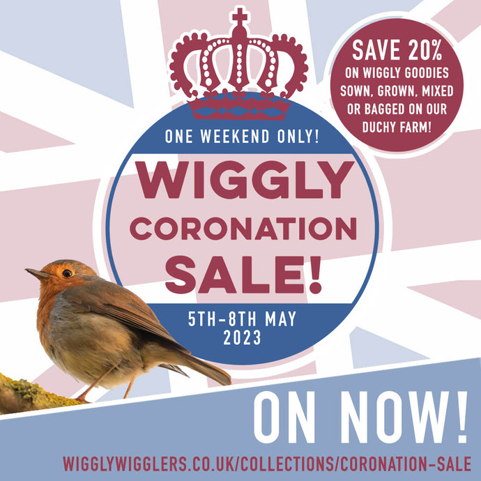Surprise! Our Wiggly Coronation Sale is NOW ON!