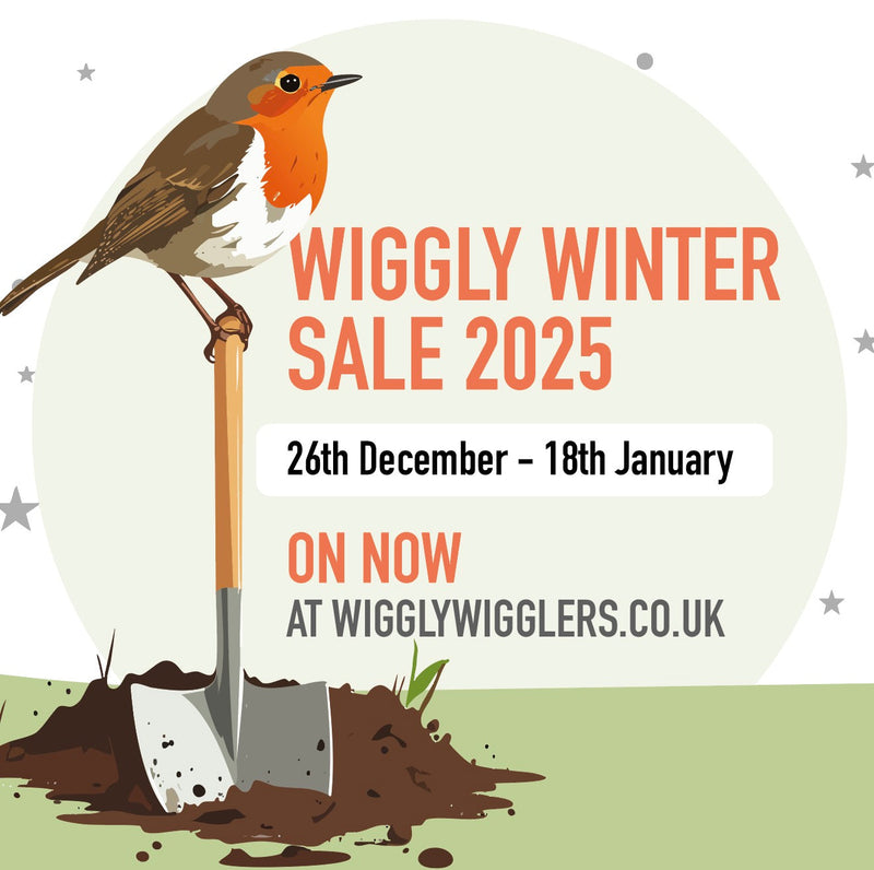 ❄️ Wiggly Winter Sale: Start the New Year Off Greener! 🌱