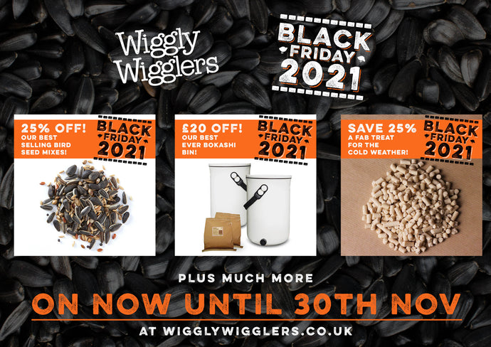Good Morning! Welcome to Wiggly BLACK FRIDAY Deals Week!