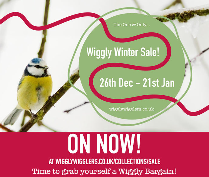 Our Wiggly Winter Sale is ON NOW!