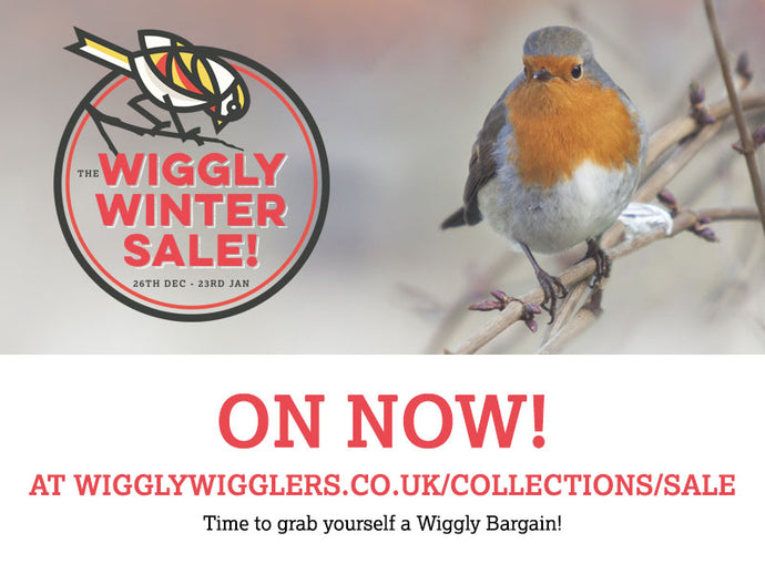 Welcome to our Wiggly Winter Sale!