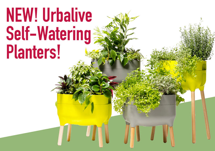 This Just In - Urbalive Self Watering Planters!