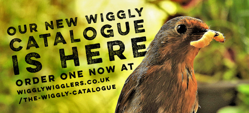 Our 2020 Catalogue is HERE!