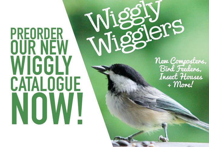 Our New WIGGLY CATALOGUE is COMING SOON - Order your copy today!