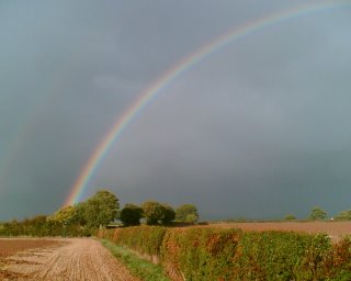 Podcast 51 - No Show Notes