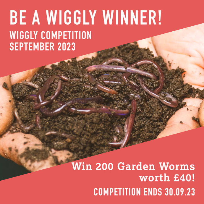WIN WITH WIGGLY SEPTEMBER 2023 – 200 Garden Worms worth £40!