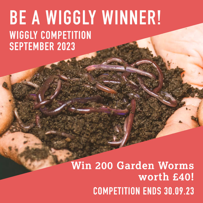 WIN WITH WIGGLY SEPTEMBER 2023 – 200 Garden Worms worth £40!