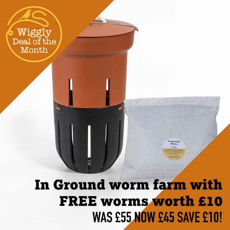 Deal of the Month – September 2025: In-Ground Worm Farm + FREE Worms!
