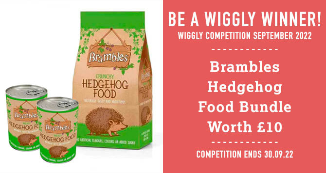 WIN WITH WIGGLY SEPTEMBER 2022 – Brambles Hedgehog Food Bundle - Worth £10!