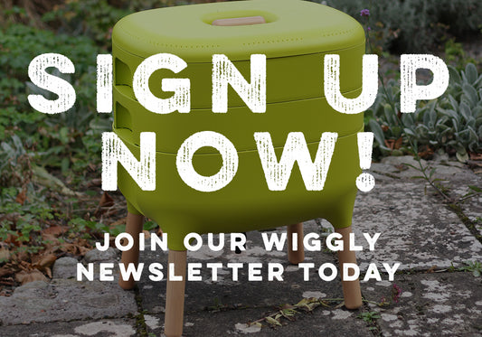 Our Weekly Emails - What's in it for you?