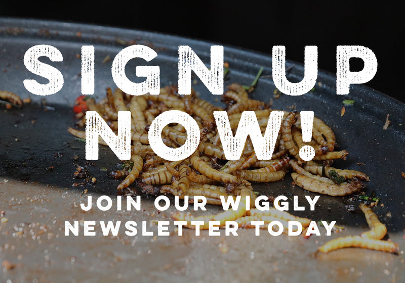 Learn more about us and what we do in our Weekly Email!