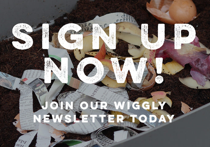 Fancy the latest news from the world of Wiggly Wigglers - Our Weekly Emails have it all!