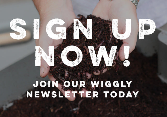 Get our latest news, offers and articles direct to your inbox!