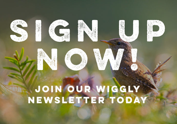 Looking for free hints and tips on composting, birdfeeding and more? You NEED our Email Newsletter!