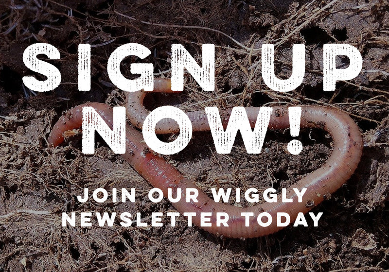 What's the latest with WW? Get our Weekly Emails to find out!