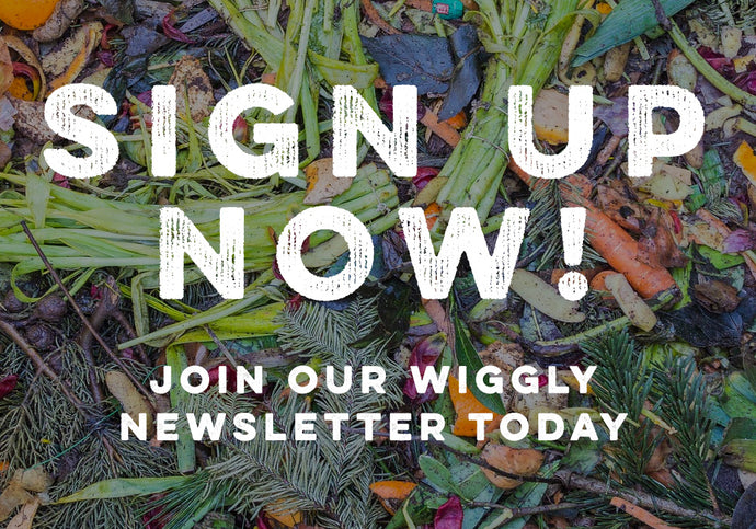 Why Sign Up to Our Wiggly Weekly Emails?