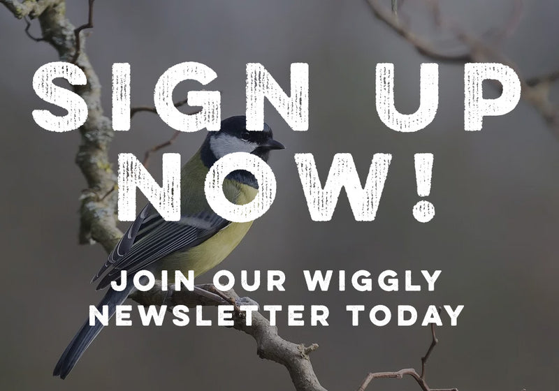 Why Should You Join Our Mailing List?