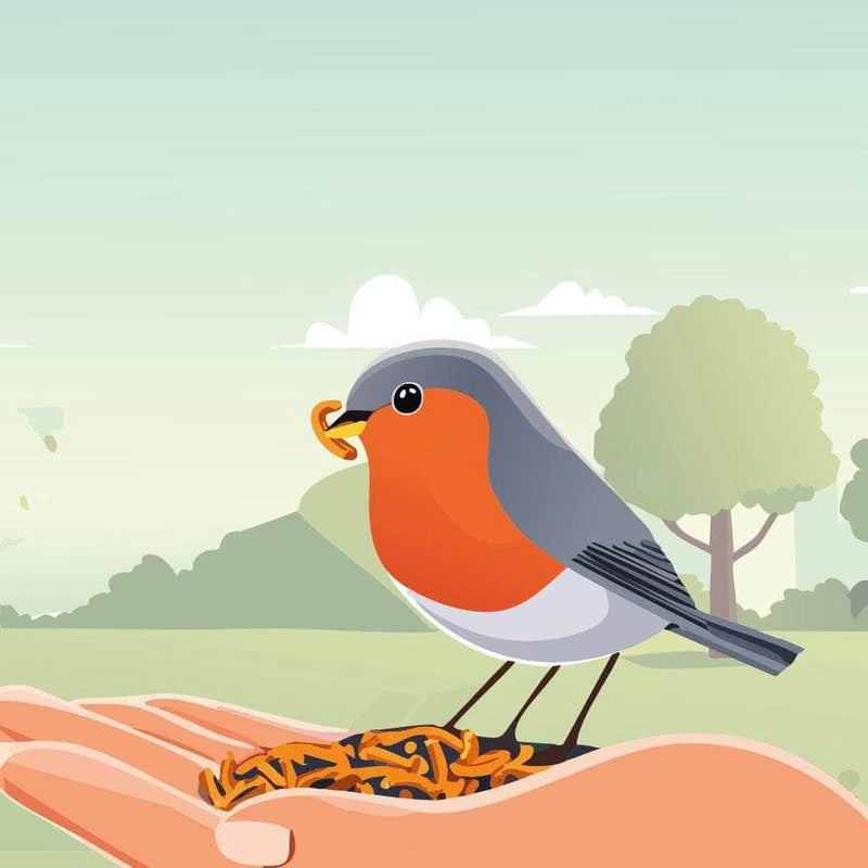 Ask the Wiggly Experts: How Can I Get My Robin to Eat Out of My Hand?