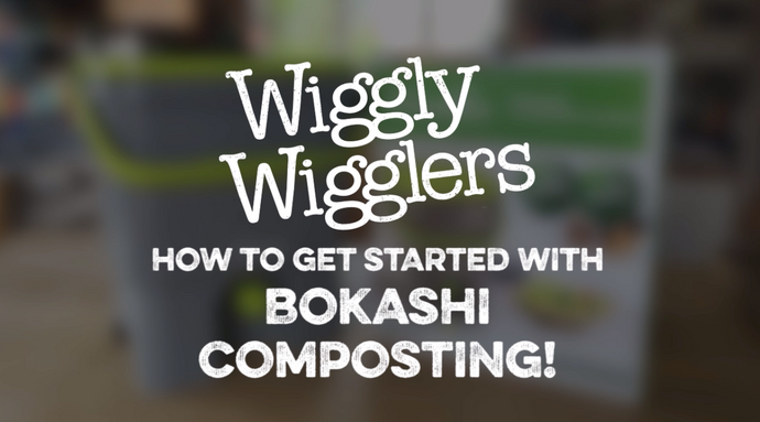 GET STARTED WITH BOKASHI | WIGGLY WIGGLERS VIDEO