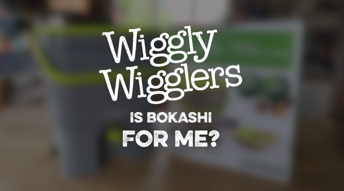 IS BOKASHI FOR ME? | WIGGLY WIGGLERS VIDEO