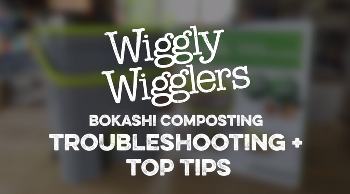 BOKASHI COMPOSTING TROUBLESHOOTING + TOP TIPS | WIGGLY WIGGLERS VIDEO