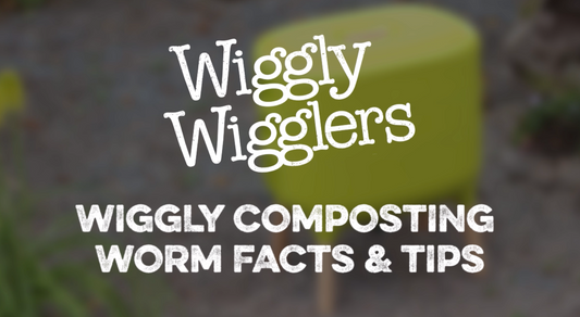 COMPOSTING WORM FACTS AND TIPS | WIGGLY WIGGLERS VIDEO