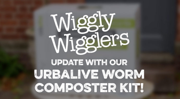 URBALIVE WORM COMPOSTER UPDATE VIDEO | WIGGLY WIGGLERS