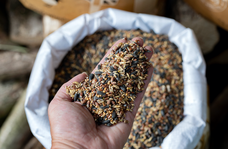 Nothing but the BEST for your Garden Birds!