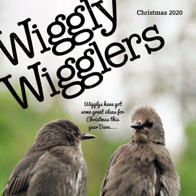 Our New WIGGLY CATALOGUE is HERE - Order your copy today!