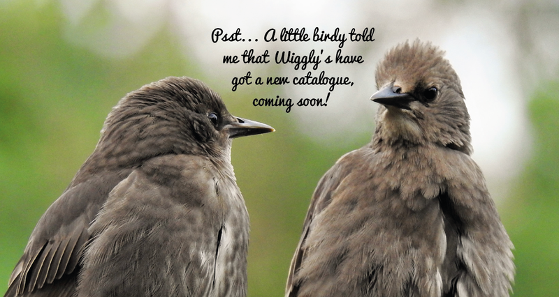 Our Christmas 2020 Catalogue is landing very soon!