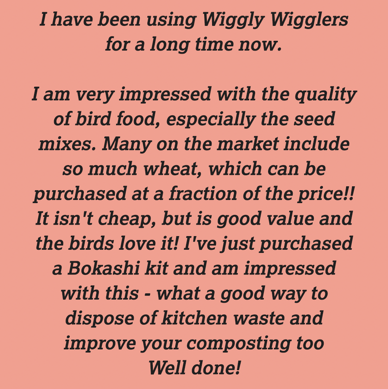 Thanks for these newest wiggly reviews :)