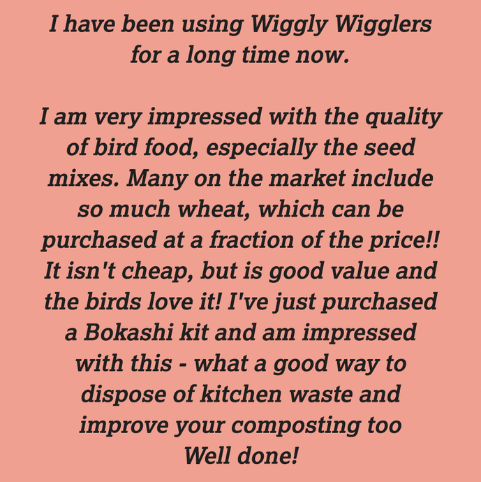 Thanks for these newest wiggly reviews :)