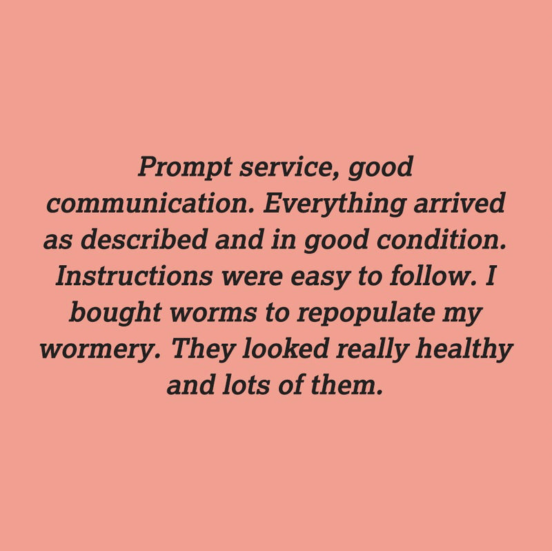 We Provide Excellent Service - But don't just take our word for it.... Check out these reviews :)