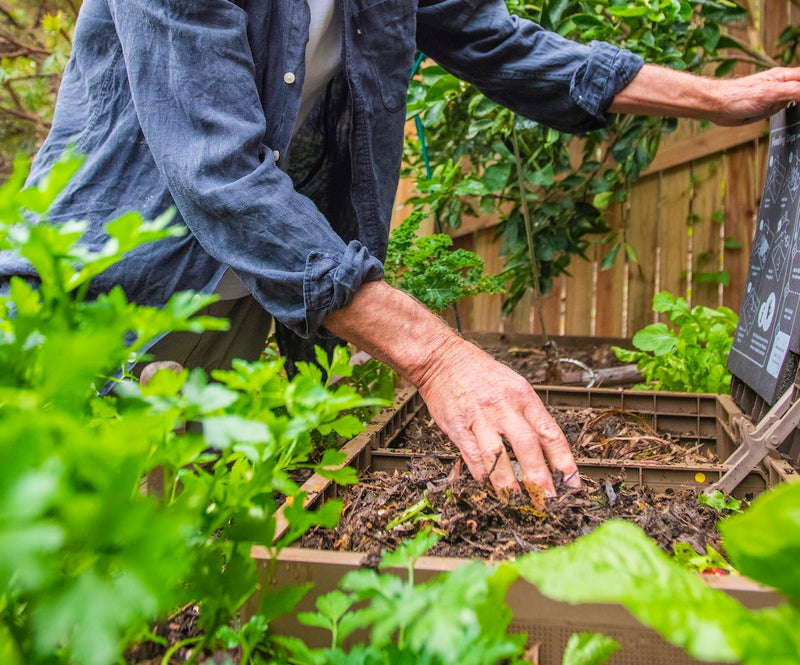 What material should you use for the worm bedding in the Subpod?